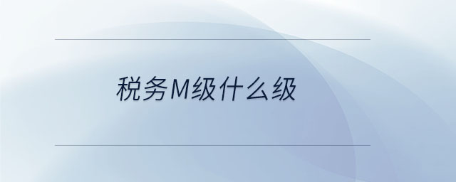 稅務m級什么級