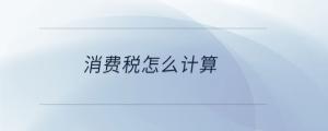 消費(fèi)稅怎么計(jì)算