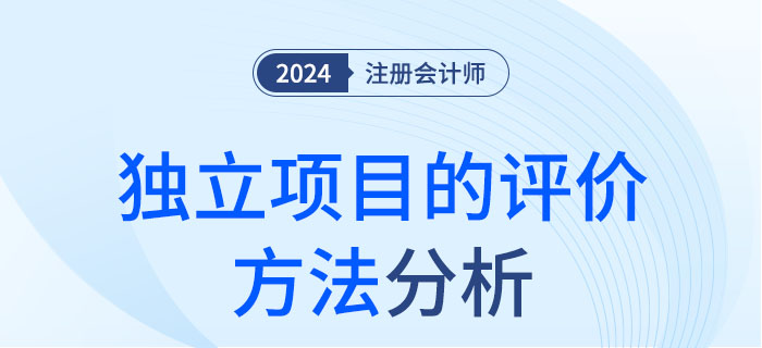 獨(dú)立項(xiàng)目的評(píng)價(jià)方法-大 獨(dú)立項(xiàng)目的評(píng)價(jià)方法-大