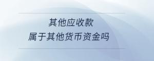 其他應(yīng)收款屬于其他貨幣資金嗎