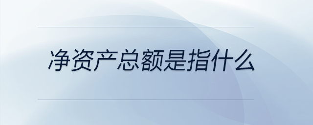 凈資產(chǎn)總額是指什么 凈資產(chǎn)總額是指什么