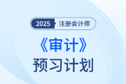 抓住備考主線，遠離無效預(yù)習！25年注會《審計》預(yù)習計劃打卡