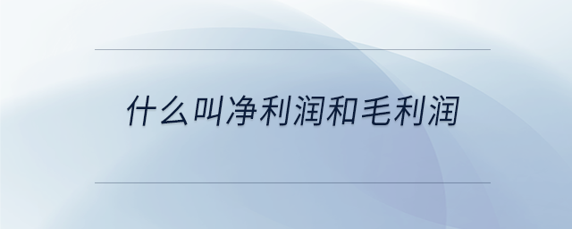 什么叫凈利潤和毛利潤 什么叫凈利潤和毛利潤