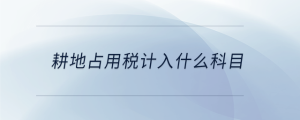 耕地占用稅計(jì)入什么科目