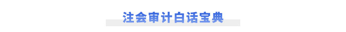 注冊會計師《審計》白話寶典
