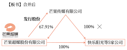 企業(yè)合并形成的長期股權(quán)投資 企業(yè)合并形成的長期股權(quán)投資