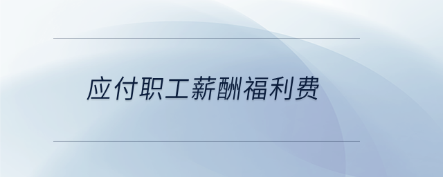 應(yīng)付職工薪酬福利費
