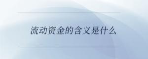 流動資金的含義是什么