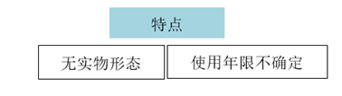 無(wú)形資產(chǎn) 無(wú)形資產(chǎn)