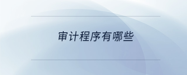 審計(jì)程序有哪些