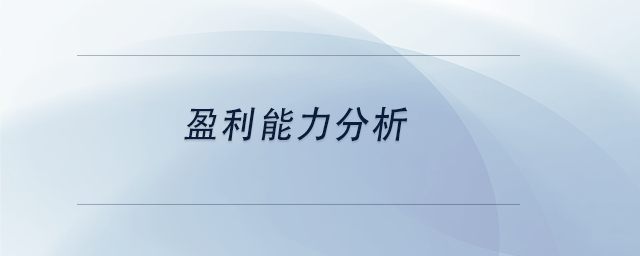 中級會計盈利能力分析