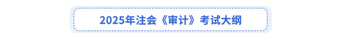 2025年注會《審計》考試大綱