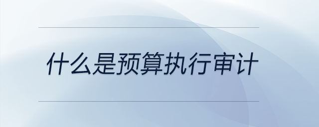 什么是預(yù)算執(zhí)行審計(jì) 什么是預(yù)算執(zhí)行審計(jì)