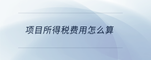 項目所得稅費用怎么算