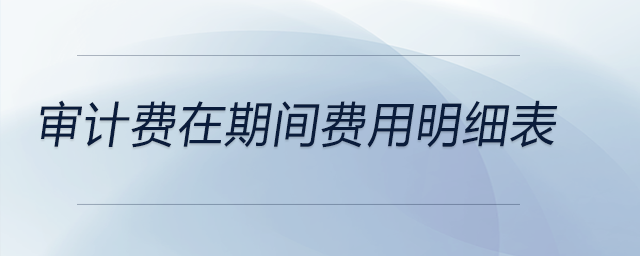 審計費在期間費用明細(xì)表 審計費在期間費用明細(xì)表