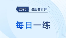 2025年注冊會計師11月每日一練匯總