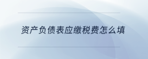 資產(chǎn)負債表應繳稅費怎么填