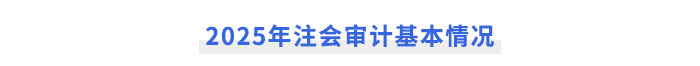 2025年注會《審計》基本情況
