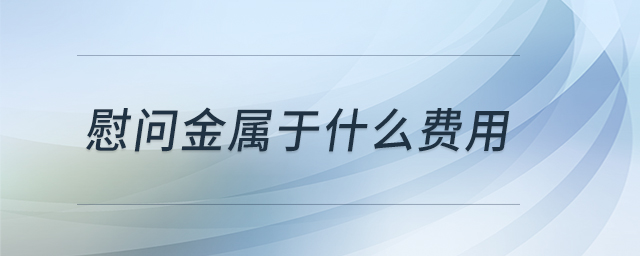 慰問金屬于什么費用