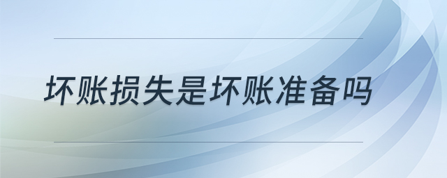 壞賬損失是壞賬準(zhǔn)備嗎