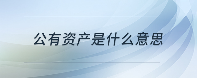 公有資產(chǎn)是什么意思 公有資產(chǎn)是什么意思