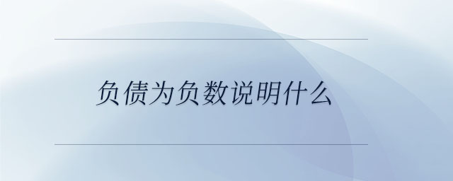 負債為負數說明什么