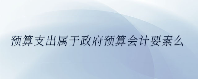 預(yù)算支出屬于政府預(yù)算會計要素么