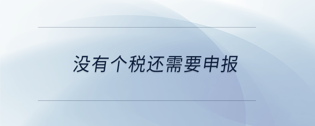 沒有個(gè)稅還需要申報(bào)
