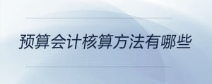 預(yù)算會(huì)計(jì)核算方法有哪些