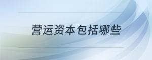 營運(yùn)資本包括哪些