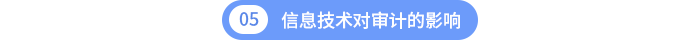 第五章信息技術(shù)對審計(jì)的影響 第五章信息技術(shù)對審計(jì)的影響
