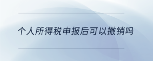 個(gè)人所得稅申報(bào)后可以撤銷嗎