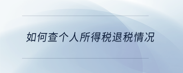 如何查個(gè)人所得稅退稅情況