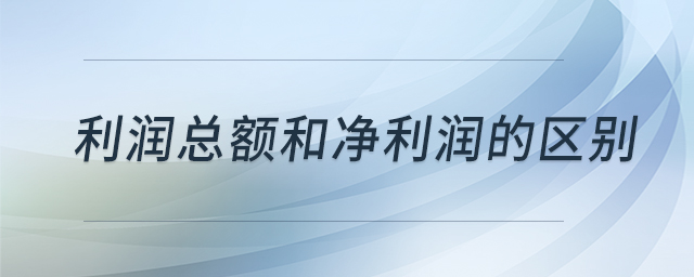 利潤總額和凈利潤的區(qū)別 利潤總額和凈利潤的區(qū)別