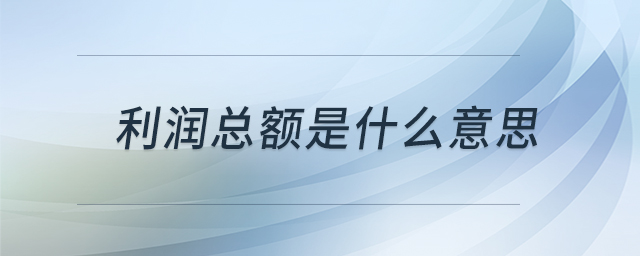 利潤總額是什么意思 利潤總額是什么意思