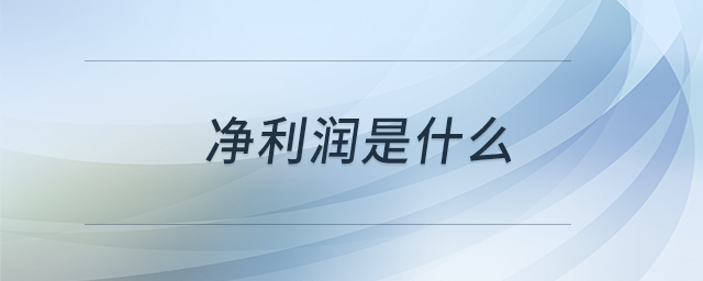 凈利潤(rùn)是什么