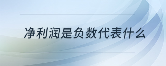 凈利潤是負(fù)數(shù)代表什么