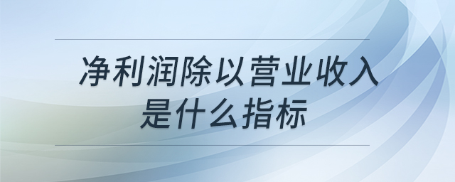 凈利潤除以營業(yè)收入是什么指標(biāo)