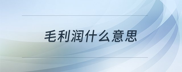 毛利潤什么意思