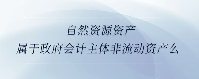 自然資源資產(chǎn)屬于政府會(huì)計(jì)主體非流動(dòng)資產(chǎn)么 自然資源資產(chǎn)屬于政府會(huì)計(jì)主體非流動(dòng)資產(chǎn)么