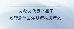 文物文化資產(chǎn)屬于政府會計(jì)主體非流動資產(chǎn)么