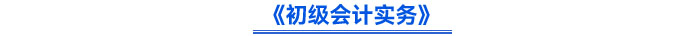 《初級會計(jì)實(shí)務(wù)》
