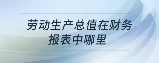 勞動(dòng)生產(chǎn)總值在財(cái)務(wù)報(bào)表中哪里 勞動(dòng)生產(chǎn)總值在財(cái)務(wù)報(bào)表中哪里