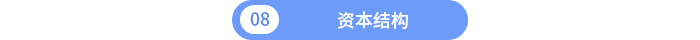 資本結(jié)構(gòu)