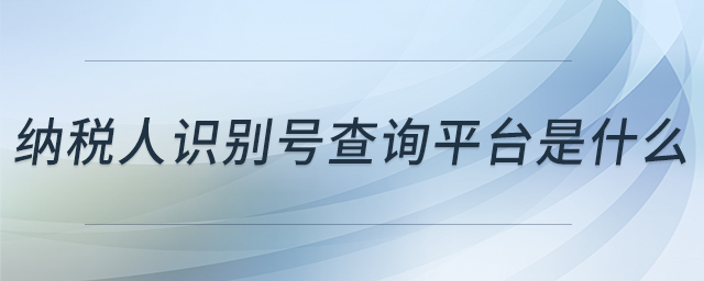 納稅人識別號查詢平臺是什么 納稅人識別號查詢平臺是什么