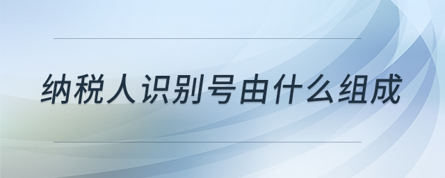 納稅人識(shí)別號(hào)由什么組成 納稅人識(shí)別號(hào)由什么組成