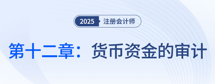 第十二章貨幣資金的審計_2025年注會審計習題隨章演練