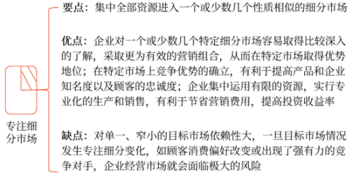 集中性營(yíng)銷策略