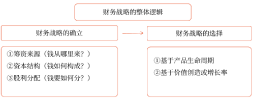 財(cái)務(wù)戰(zhàn)略 財(cái)務(wù)戰(zhàn)略