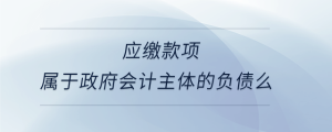 應(yīng)繳款項(xiàng)屬于政府會(huì)計(jì)主體的負(fù)債么